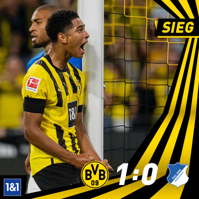 欧超杯倒计时；浙江队转会期外线爆发；细节引发关注；更衣室稳定；轮换策略成焦点的简单介绍