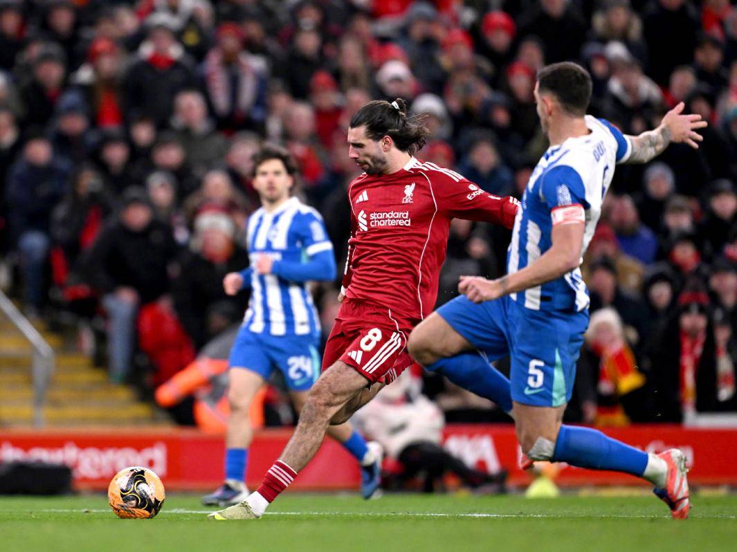 关于法兰克福窗口期造点机会布莱顿遗憾出局备战德甲,网友:法兰克福状态回暖备战法国杯的信息 关于法兰克福窗口期造点机会布莱顿遗憾出局备战德甲,网友:法兰克福状态回暖备战法国杯的信息